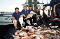 kawhia fishing