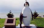 giant penguin